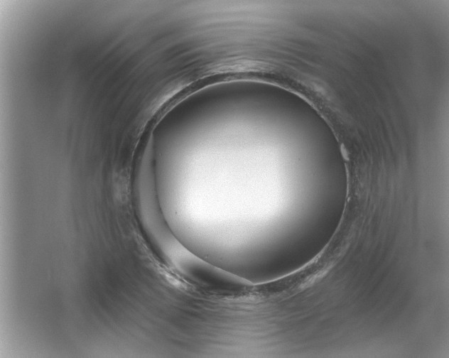 X0000067511073200604071246