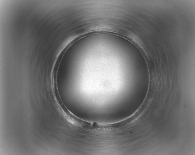 X0000067511082200604071246