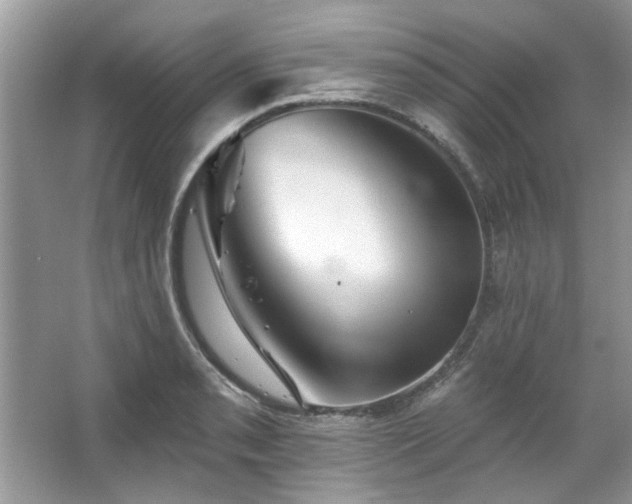X0000067511085200604071246
