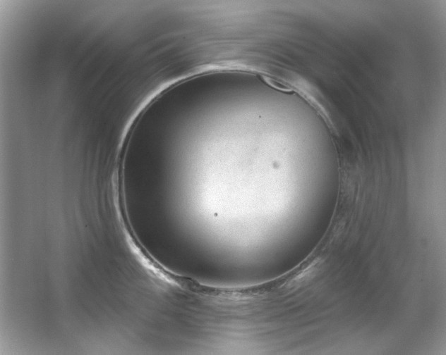 X0000067511100200604071246