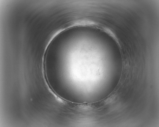 X0000067511103200604071246