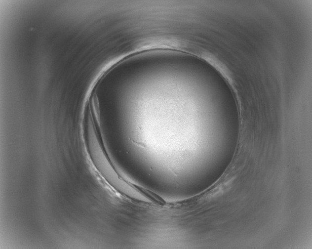 X0000067511104200604071246