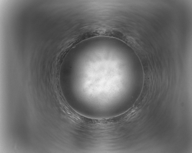 X0000067511105200604071245