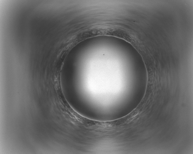 X0000067511109200604071245
