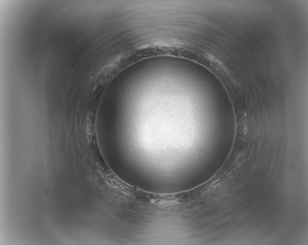 X0000067511110200604071245