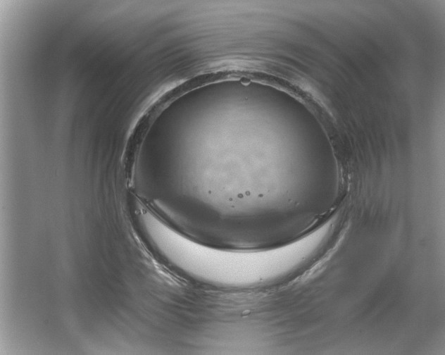 X0000067511117200604071245