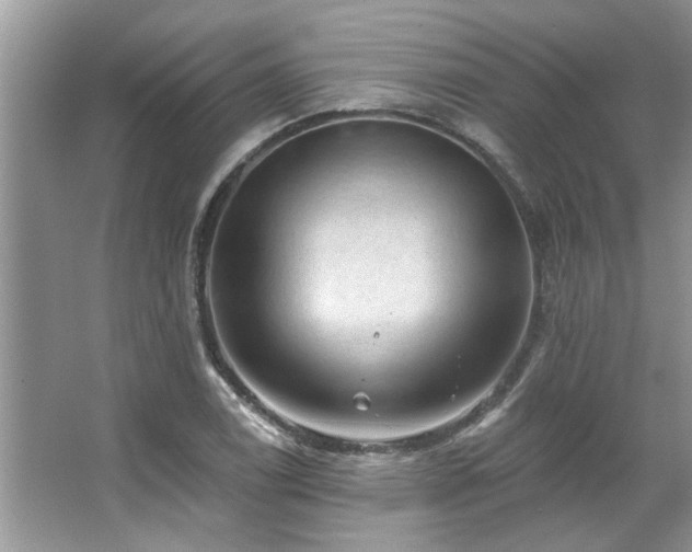 X0000067511122200604071245