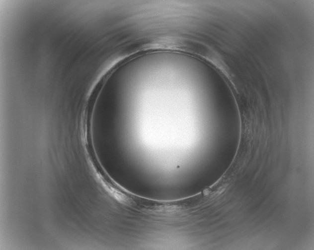 X0000067511131200604071245
