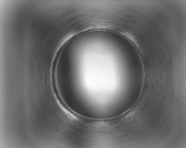 X0000067511135200604071245