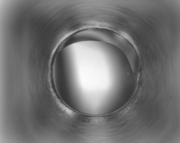 X0000067511136200604071245