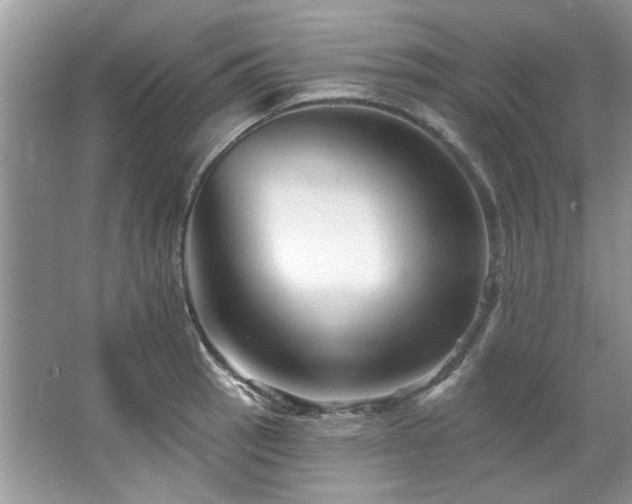 X0000067511137200604071245