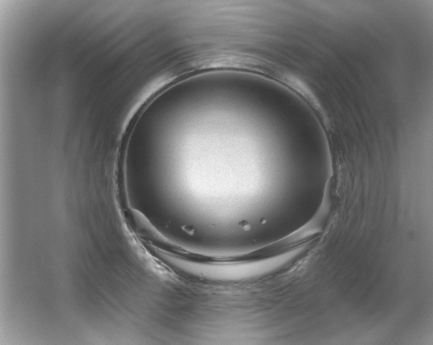 X0000067511138200604071245