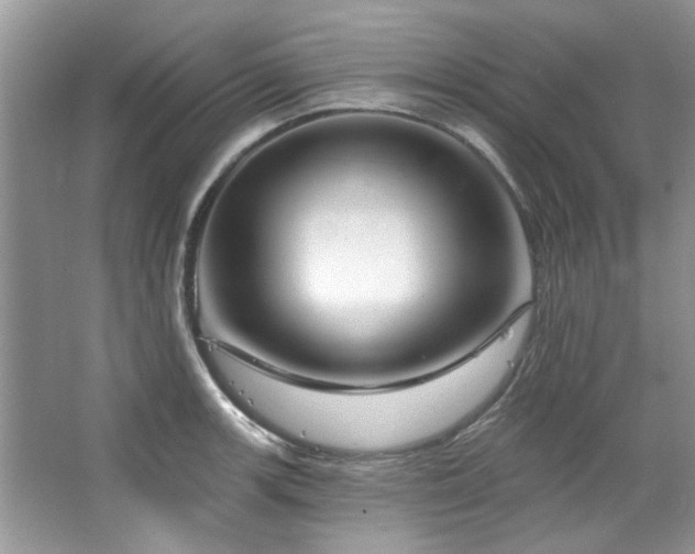 X0000067511139200604071245