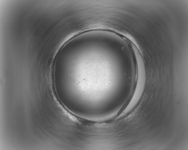 X0000067511142200604071245