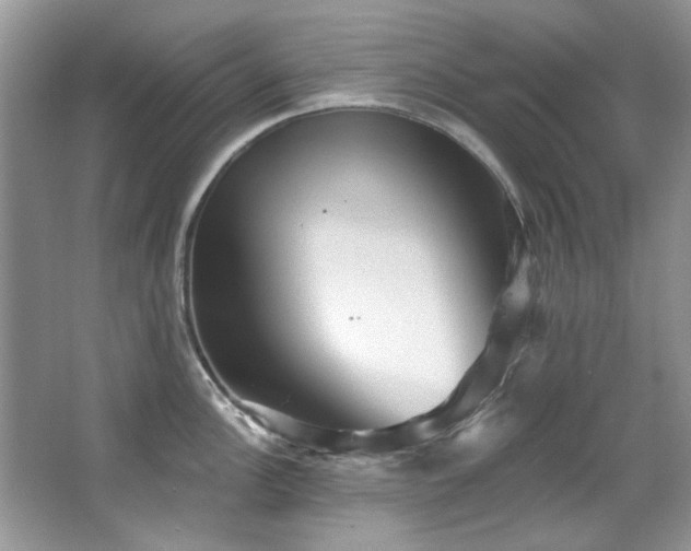 X0000067511148200604071245