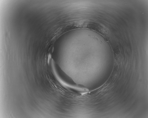 X0000067511154200604071245
