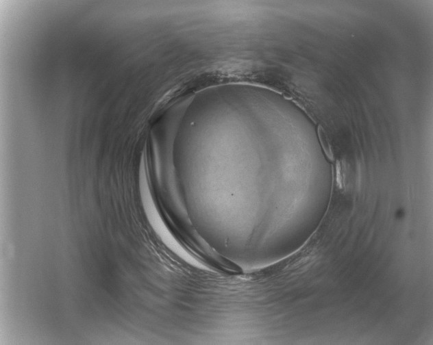 X0000067511155200604071245