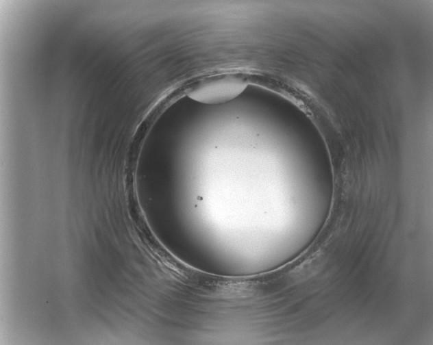 X0000067511162200604071245
