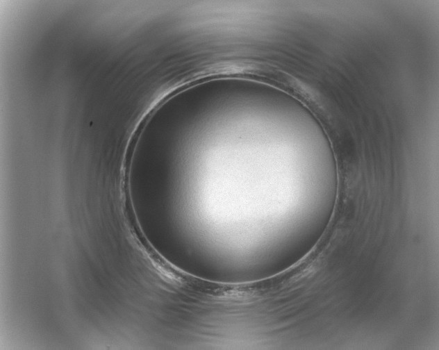 X0000067511178200604071244