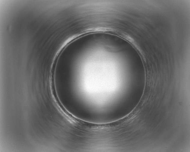 X0000067511187200604071244