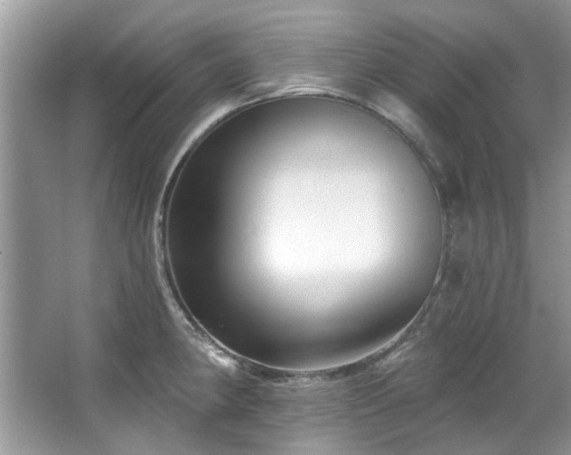 X0000067511190200604071244