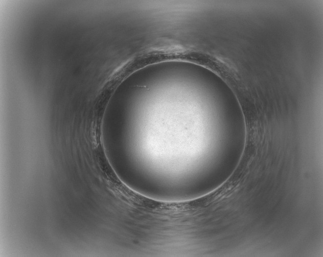 X0000067511205200604071243
