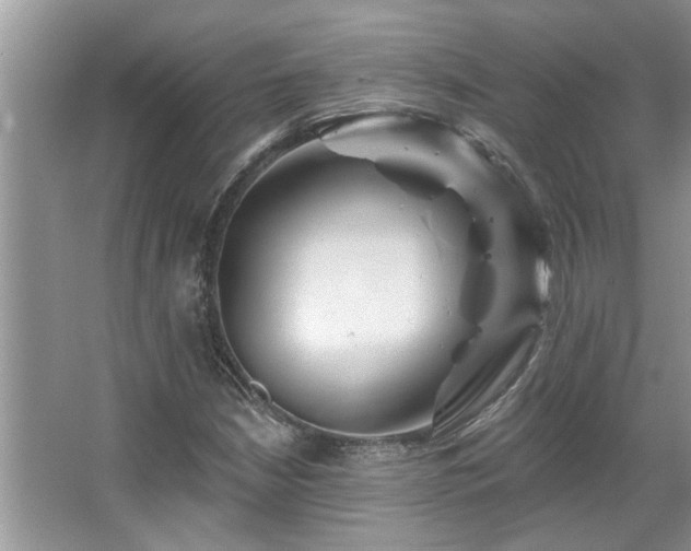 X0000067511210200604071243