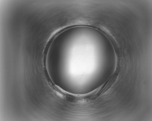 X0000067511222200604071243