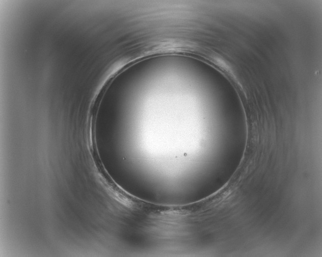 X0000067511227200604071244