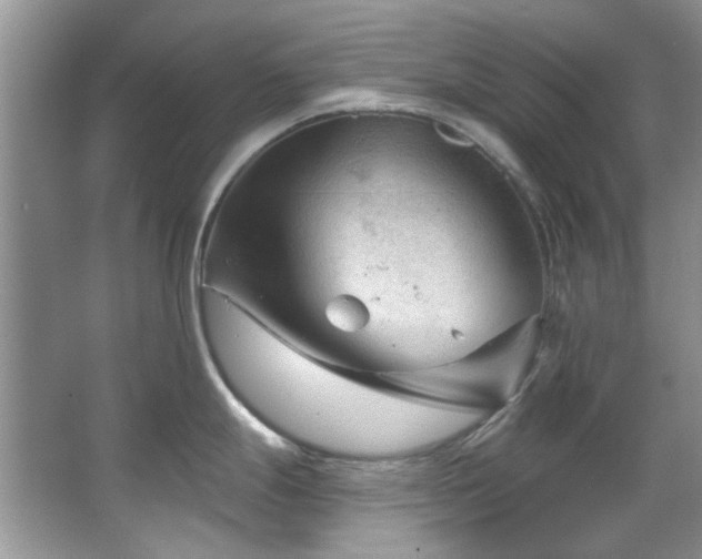X0000067511247200604071244