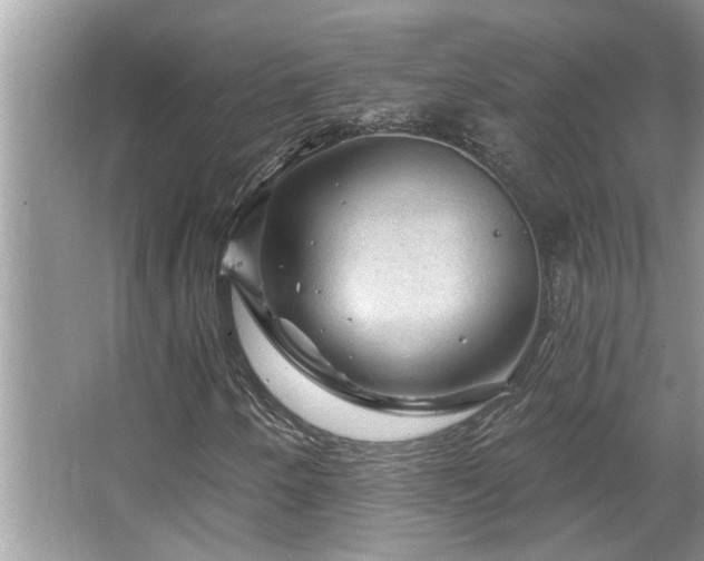 X0000067511250200604071243