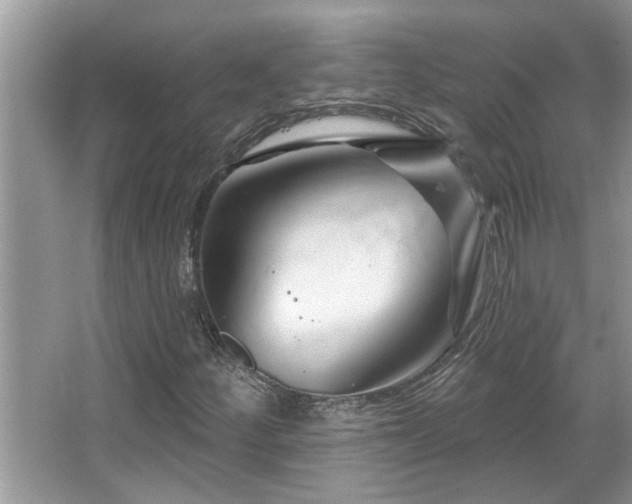 X0000067511252200604071243