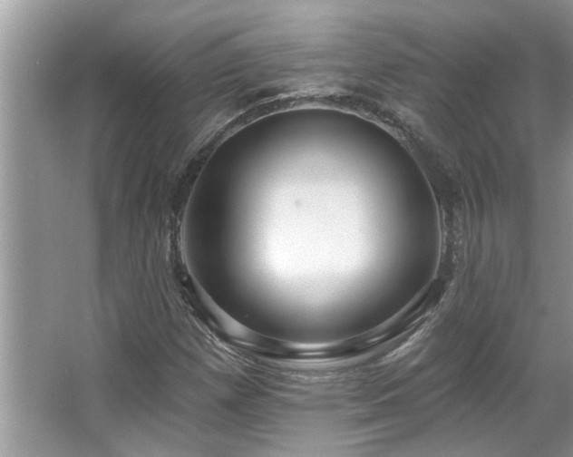 X0000067511257200604071243