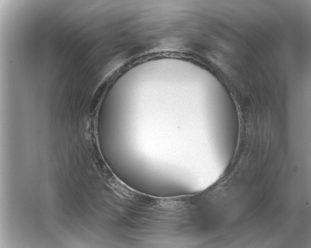 X0000067511258200604071243