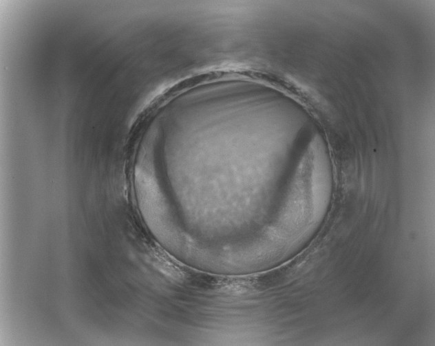 X0000067511262200604071243
