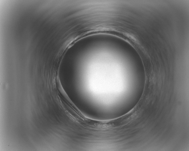 X0000067511273200604071243