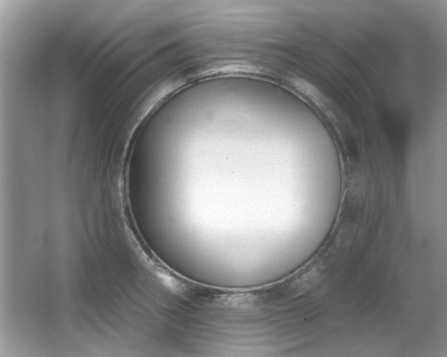X0000067511282200604071243