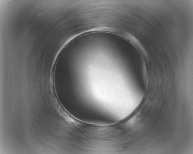 X0000067511292200604071242