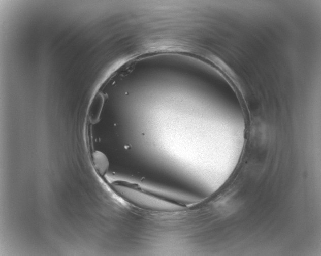 X0000067511293200604071242