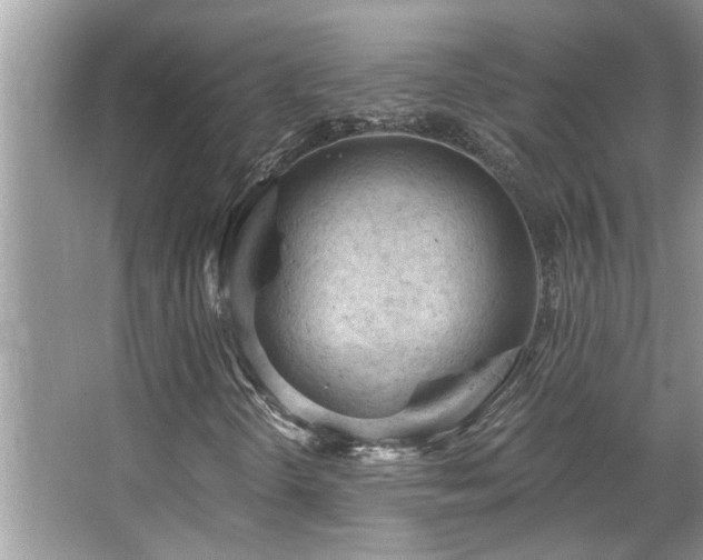 X0000067511298200604071241