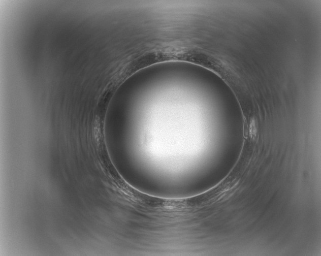 X0000067511299200604071242