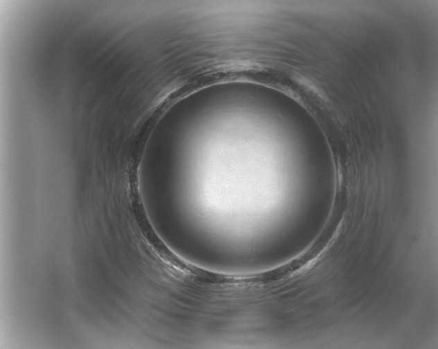 X0000067511305200604071242