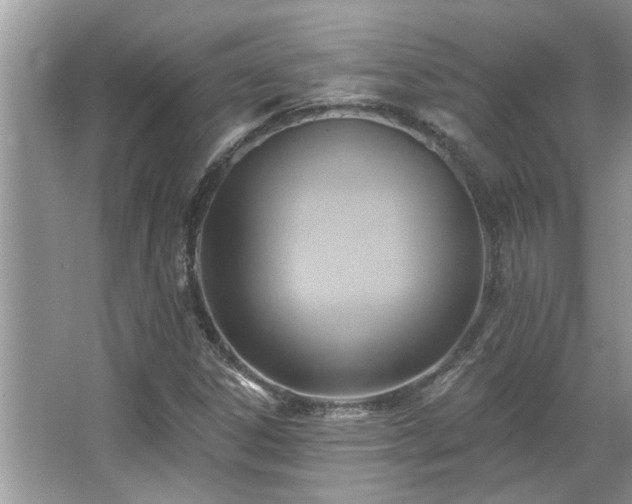 X0000067511306200604071242
