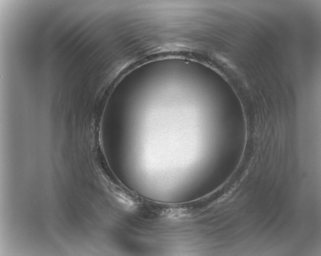 X0000067511313200604071242