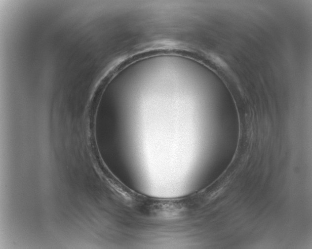 X0000067511318200604071242