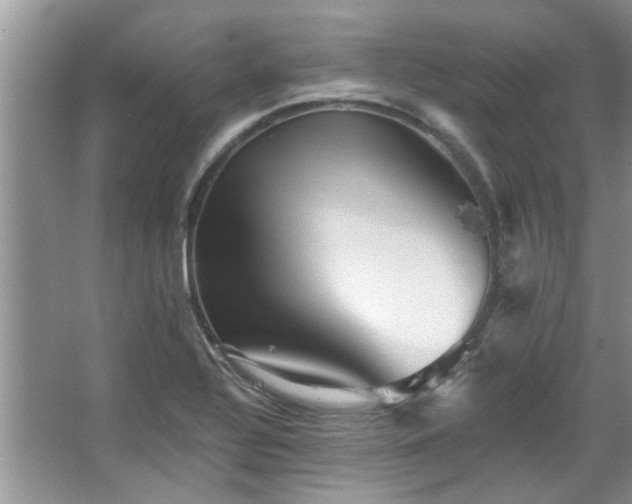 X0000067511320200604071242