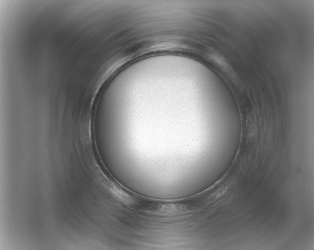 X0000067511322200604071242