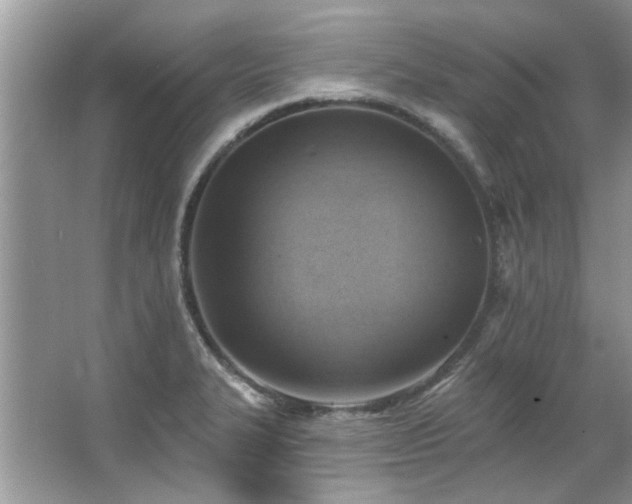 X0000067511327200604071242