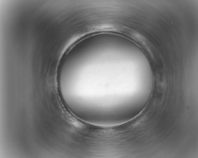 X0000067511328200604071242