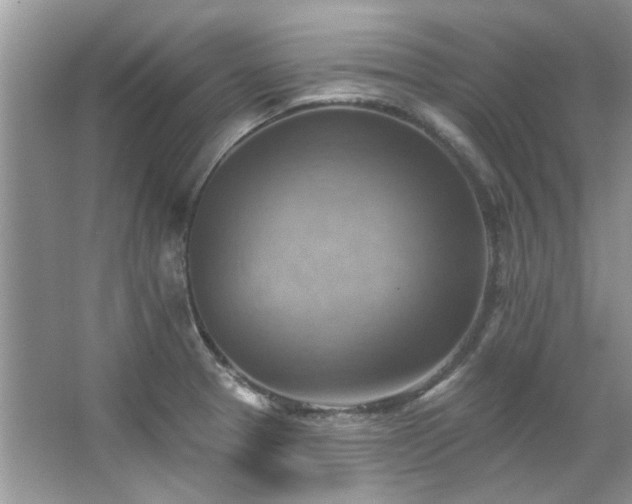 X0000067511329200604071242